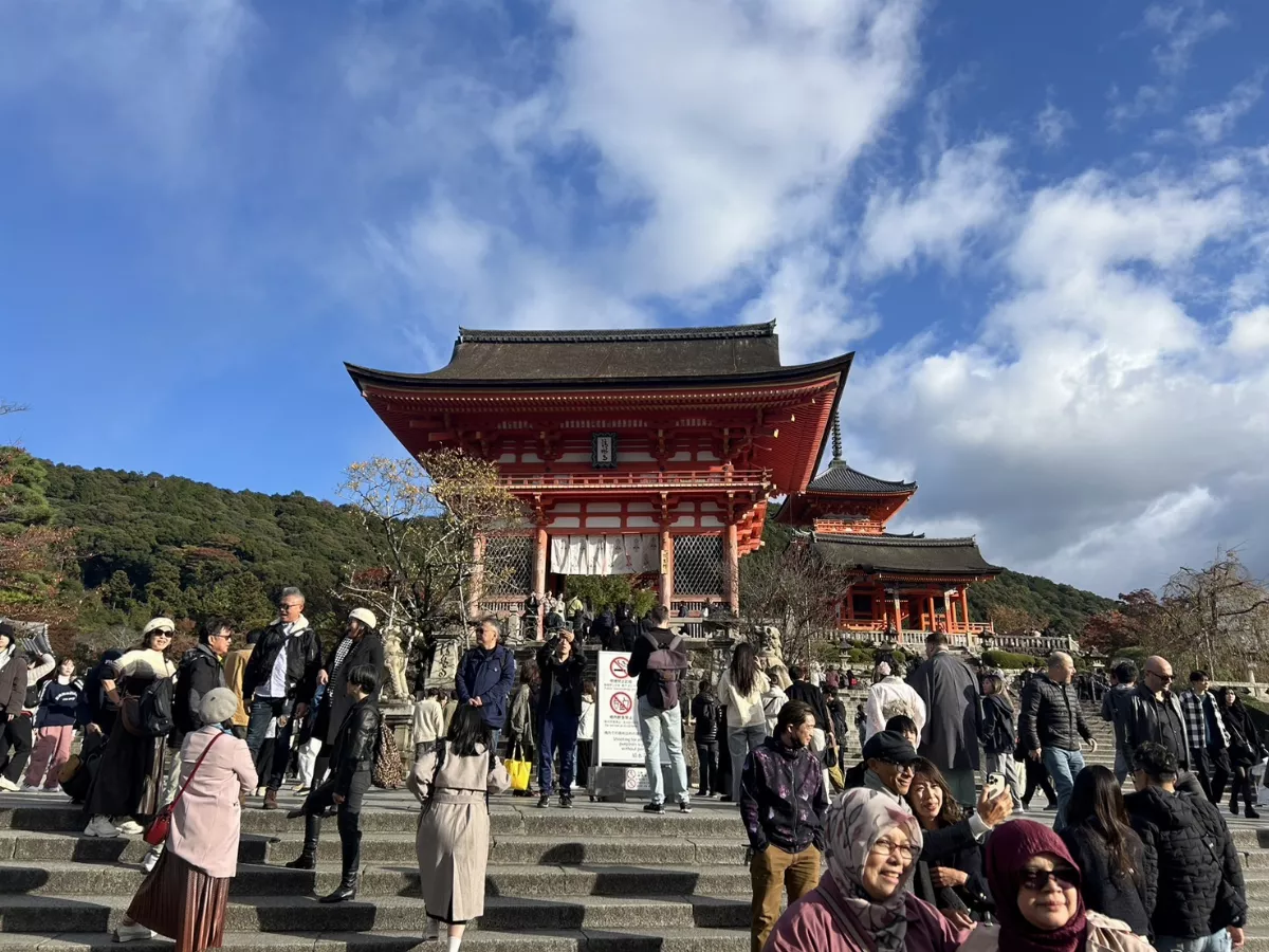 日本新生兒死亡病例 驗出腸病毒伊科11型