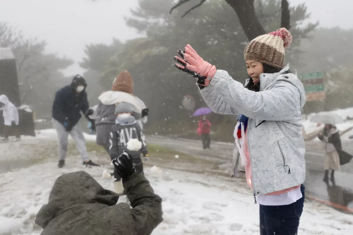 寒流來襲陽明山恐降雪 3階段交管看這裡