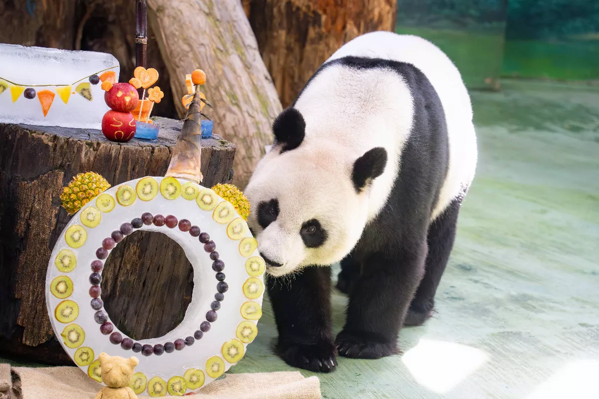北市熱門景點公布 動物園名次下滑至第10