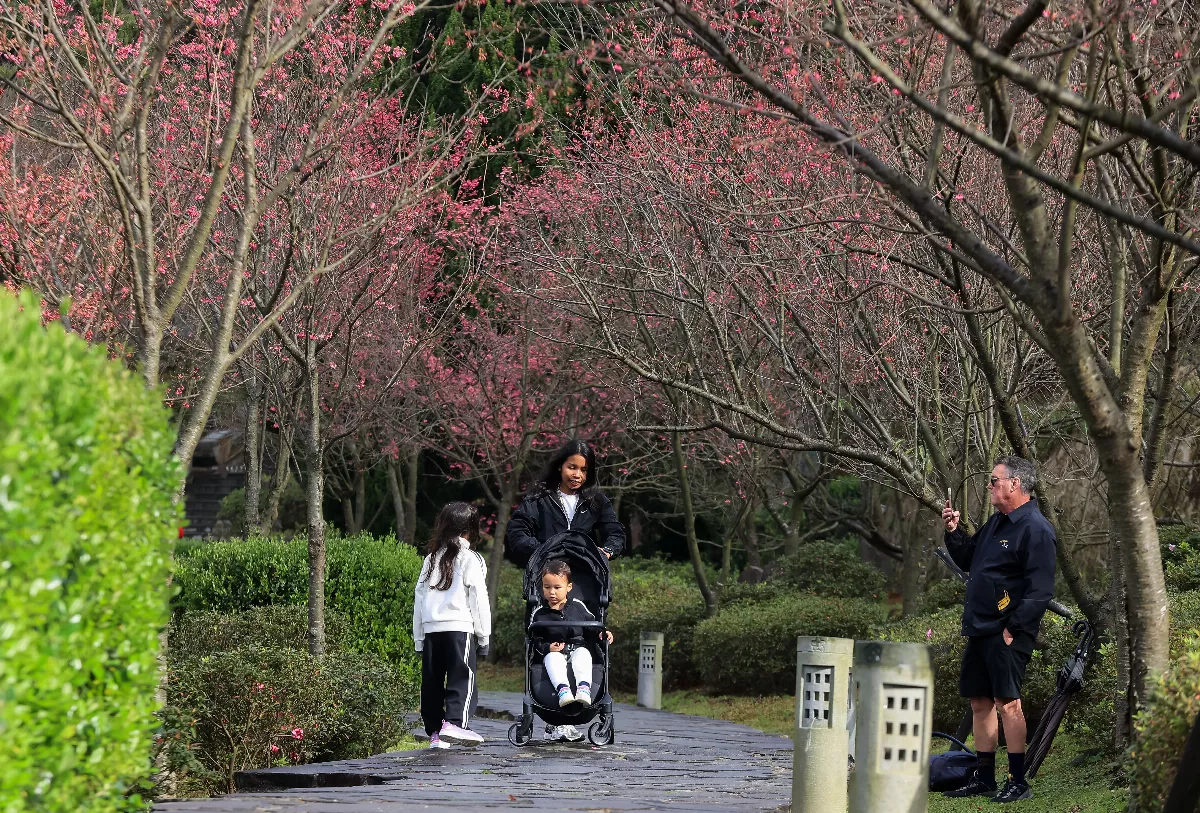 出外旅遊注意 留存行程表可檢據申訴