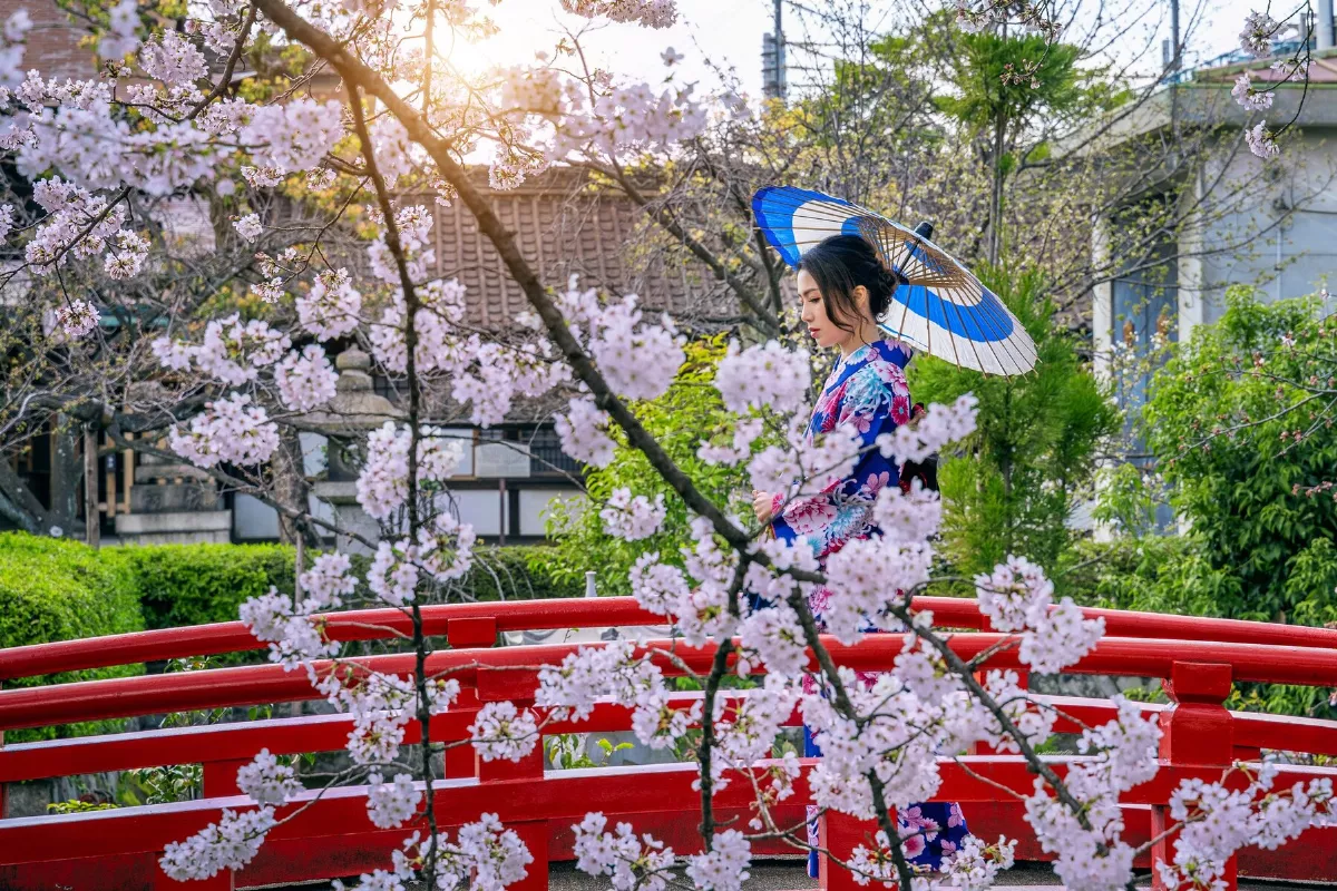 東京賞櫻 日氣象公司預測3/21開花