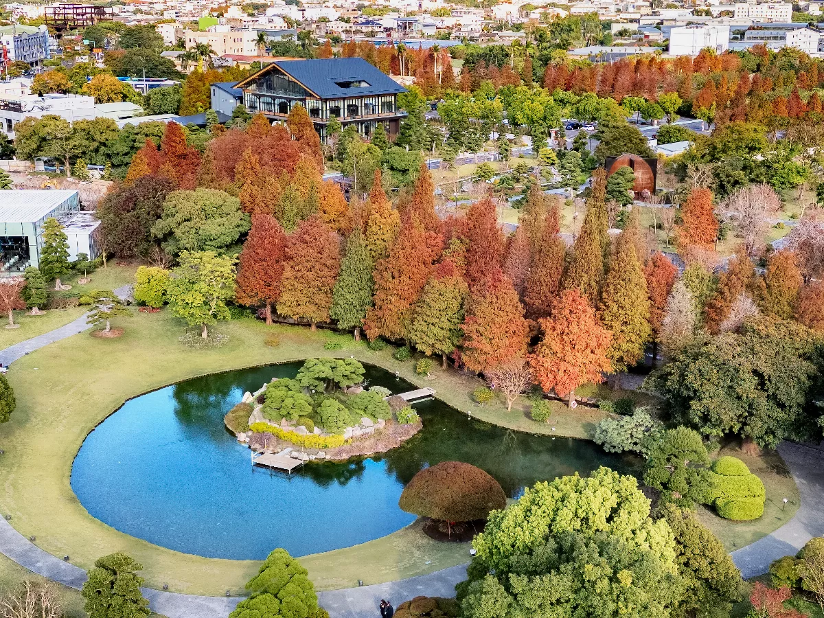 成美文化園春節活動登場 日系落羽松秘境化身藝術季