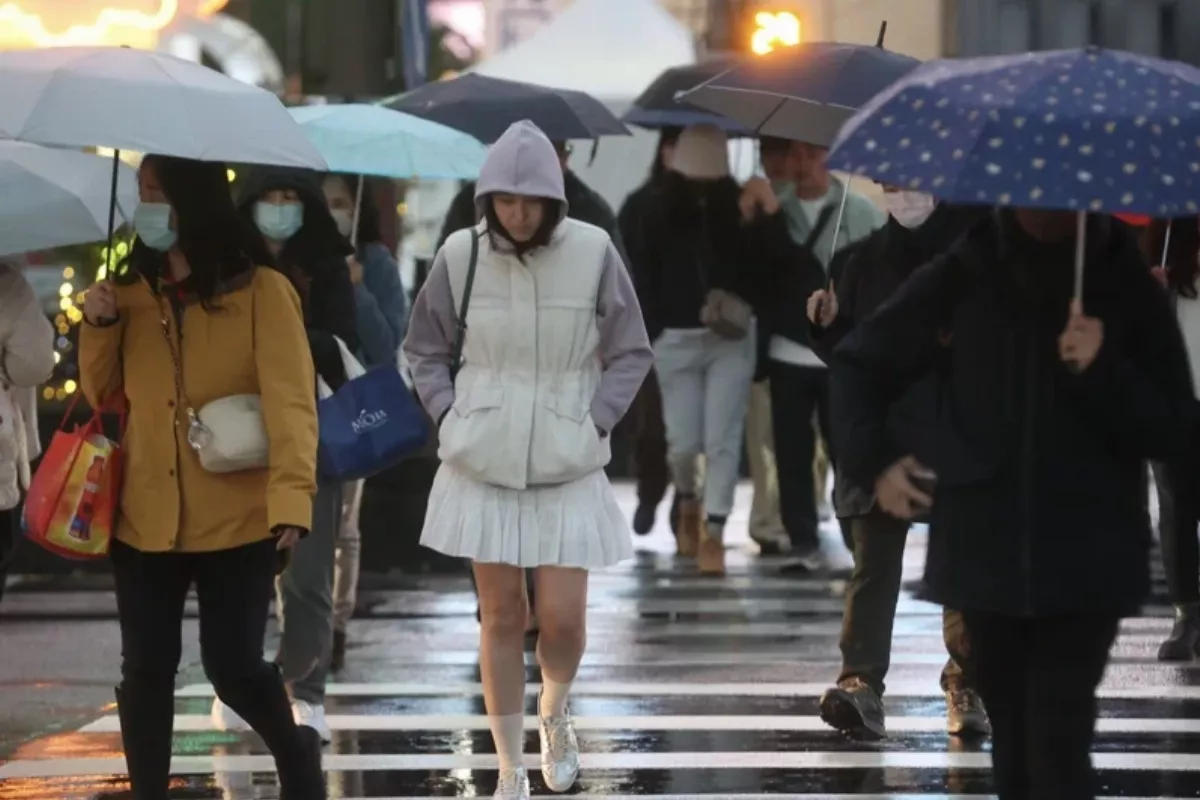 2波強烈冷氣團接連發威  低溫、雨彈狂炸 