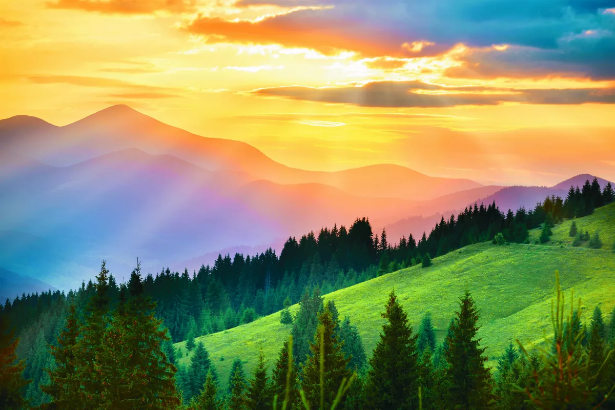 星雲大師全集【經義】佛法滿人間—共生共榮