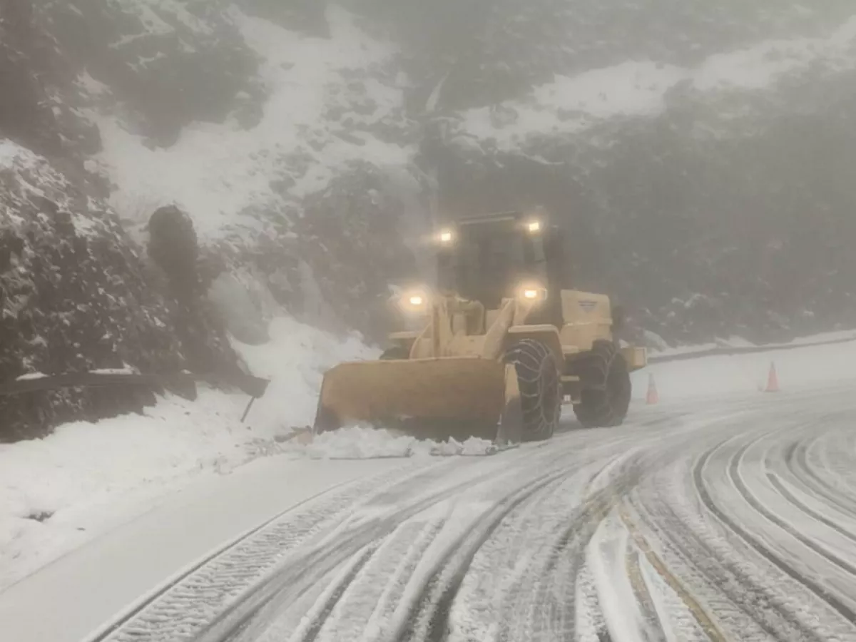 合歡山下雪霰  夢幻如灑糖霜