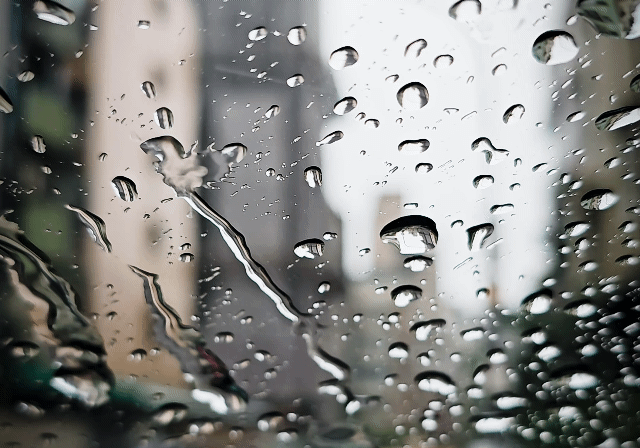 星雲說偈：會合有時