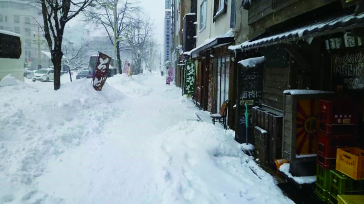 【分享時刻】那年的雪是溫暖的