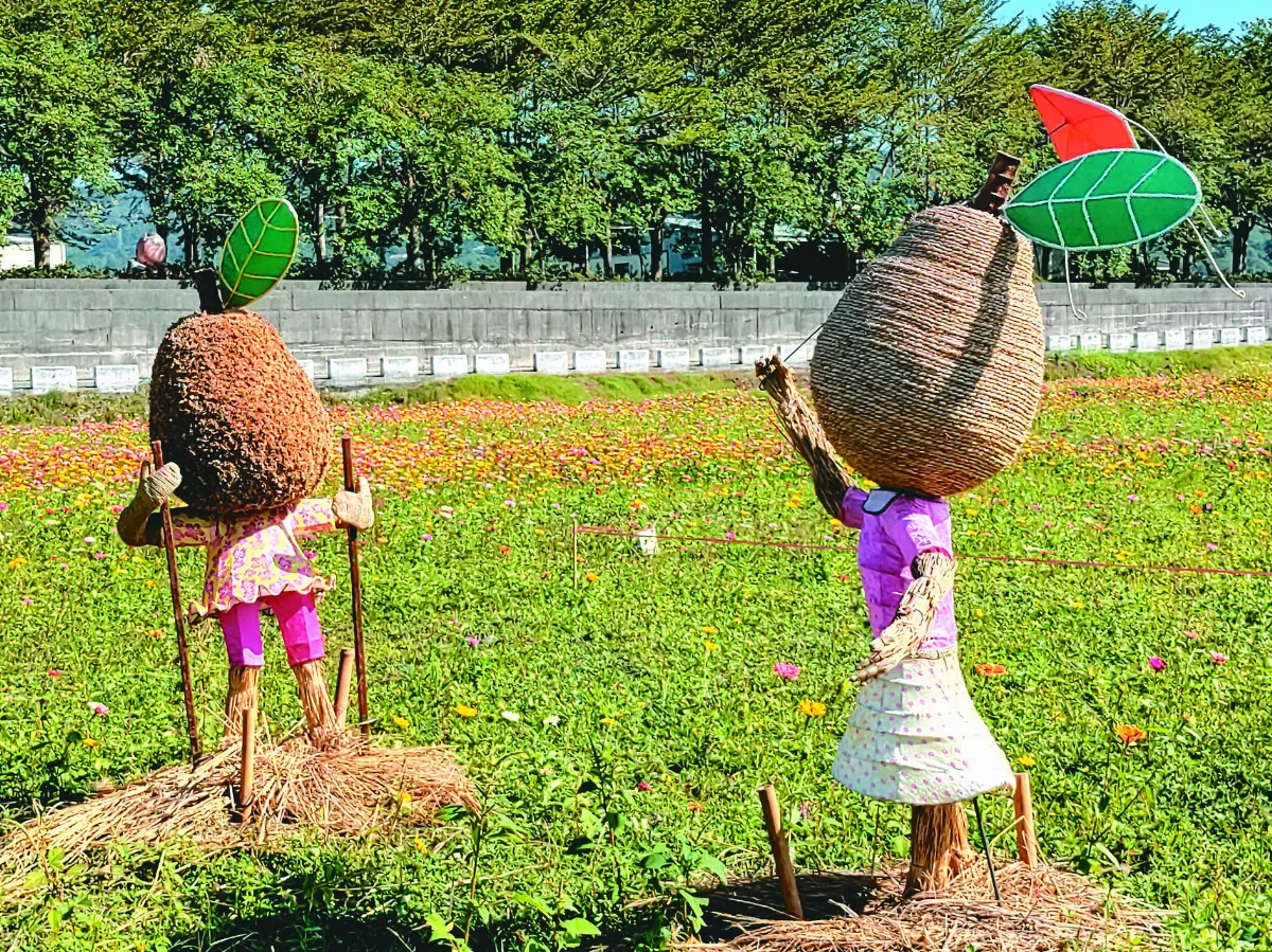 【生活快門】芭樂姐妹花