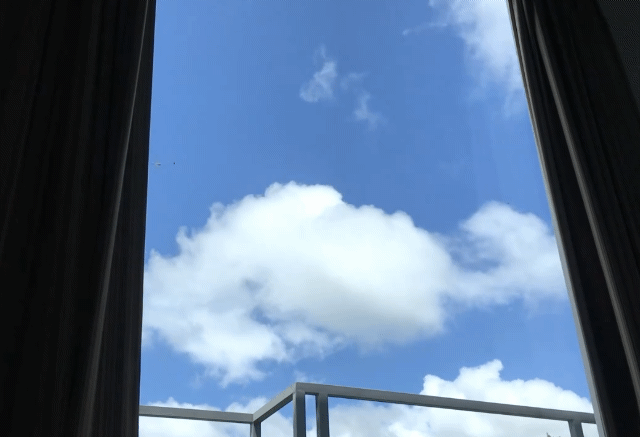 星雲說偈：極樂國