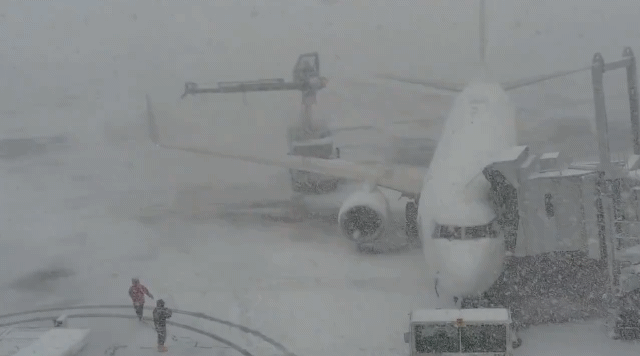 札幌雪祭真的遇暴風雪！新千歲機場118航班取消 