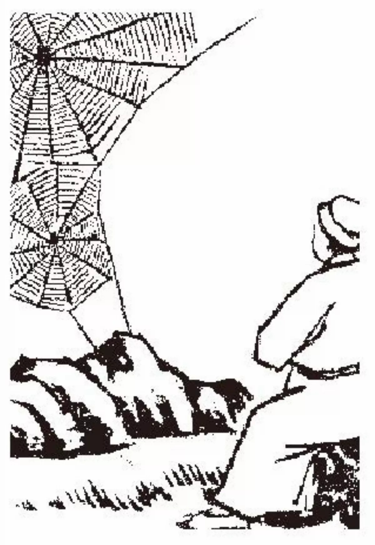 【護生畫集】蜘蛛收絲