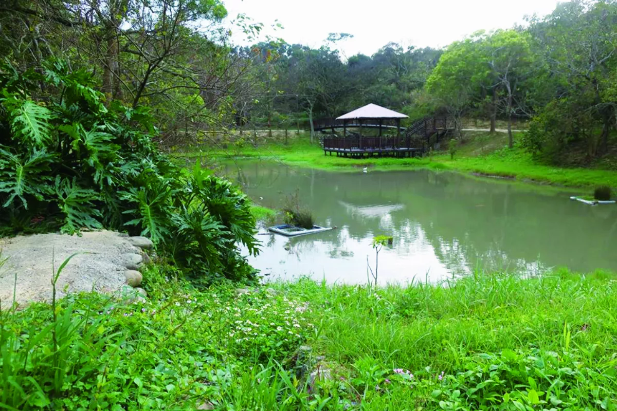 【印象旅人】香山青青草原半日行