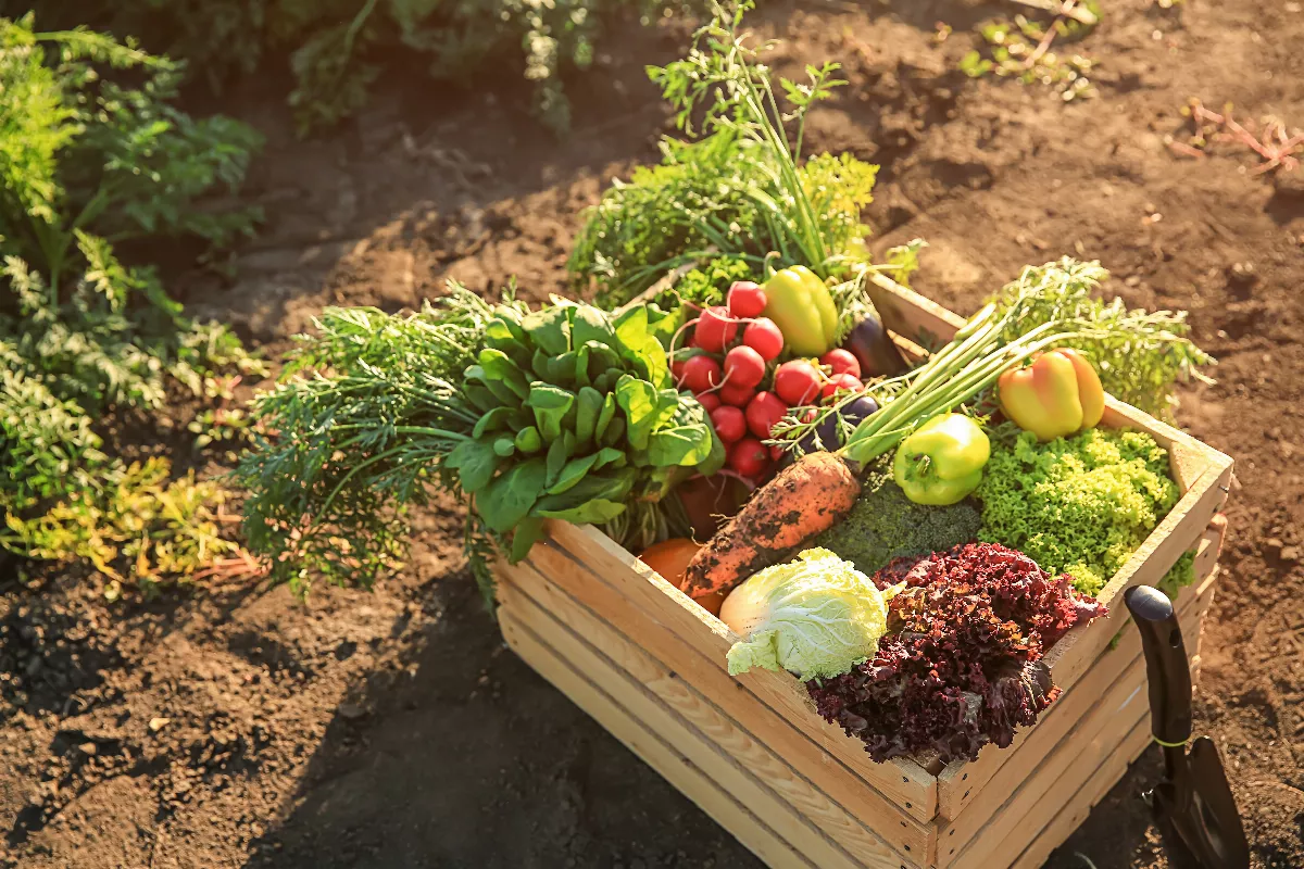 紀錄片發人深省 農場到餐桌的永續變革
