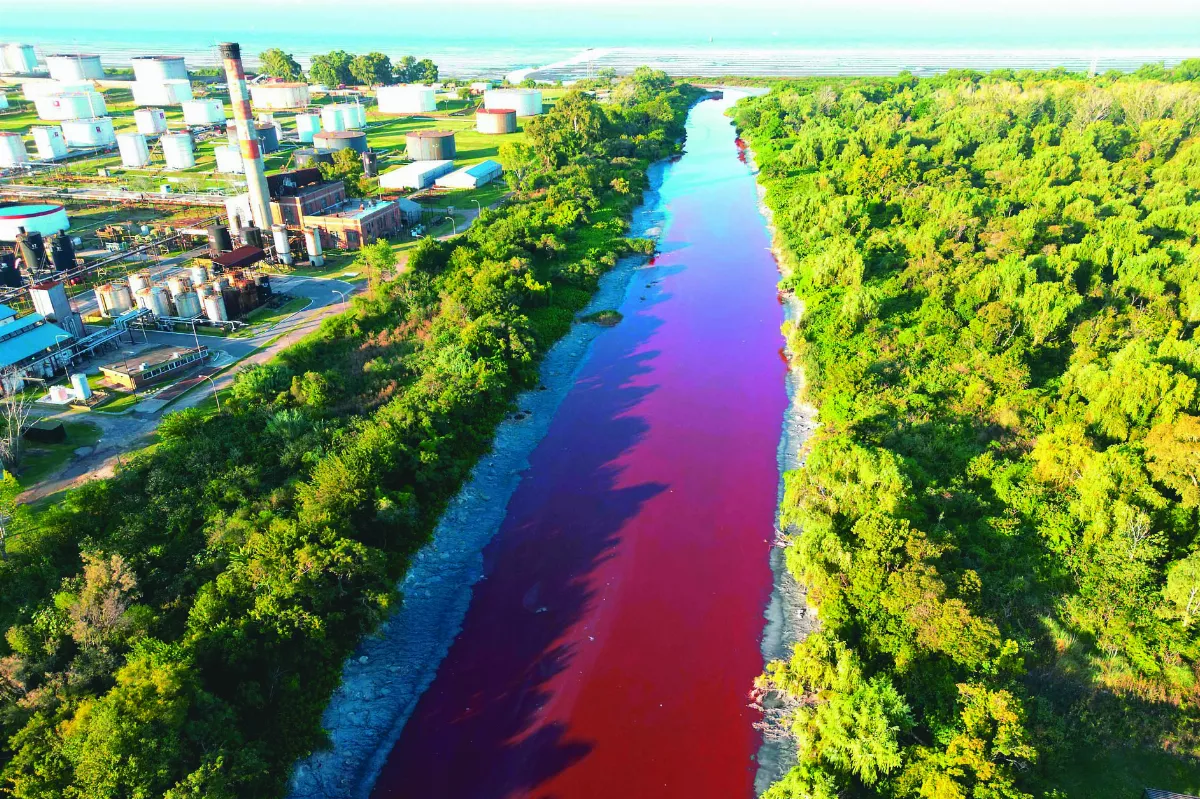 綠水豚、紅河川 生態悲歌