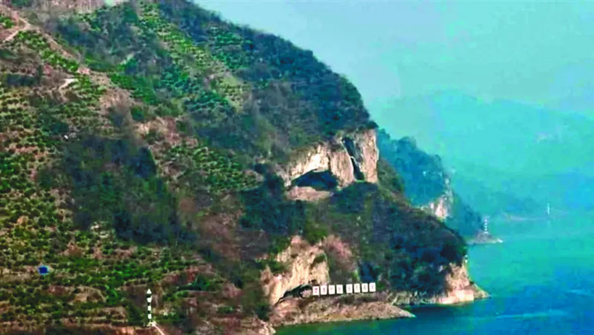 湖北小狗山  可愛爆表登熱搜榜