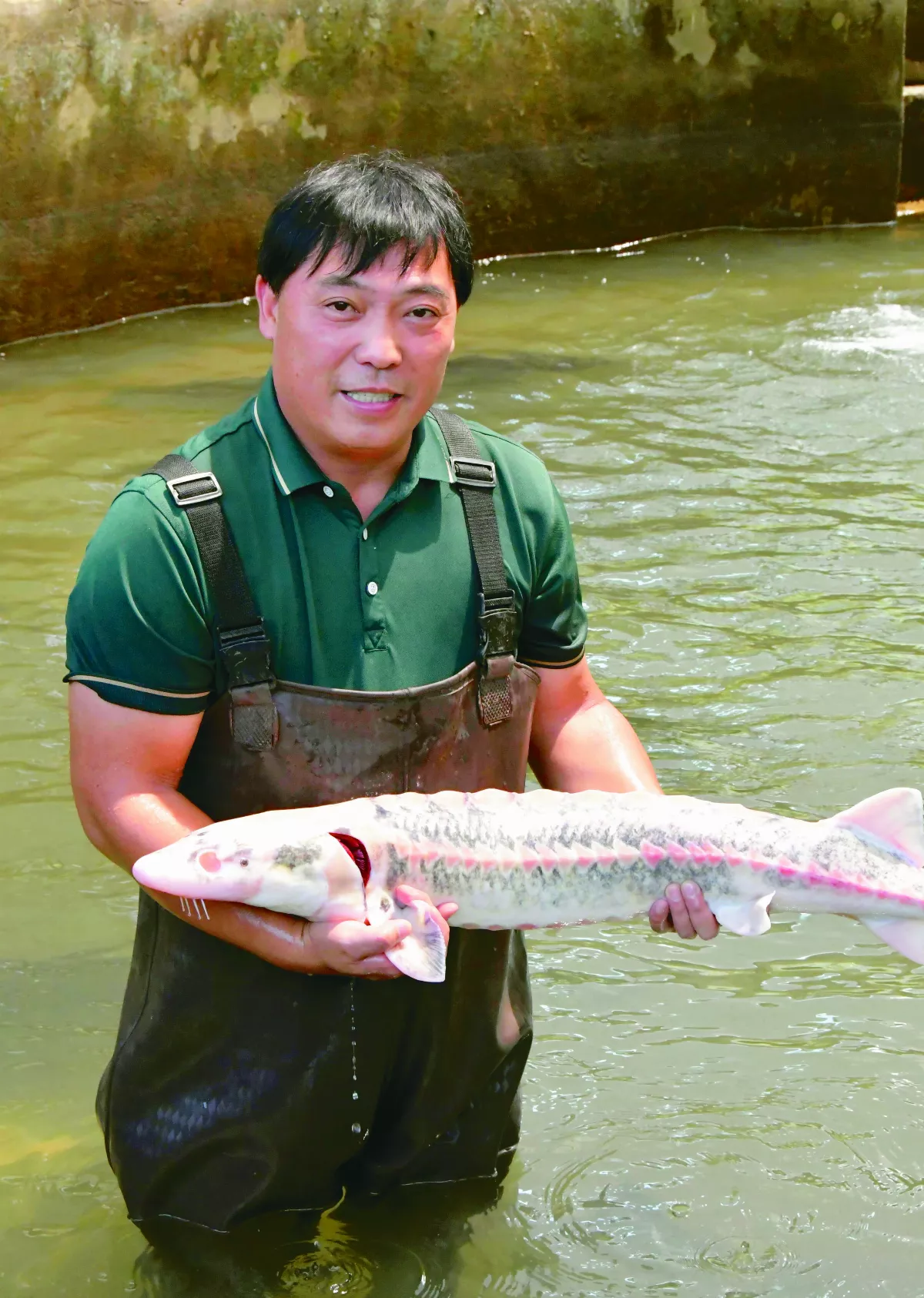 【宜賓珍稀水生動物研究所】周亮 熱情守護 魚群回歸