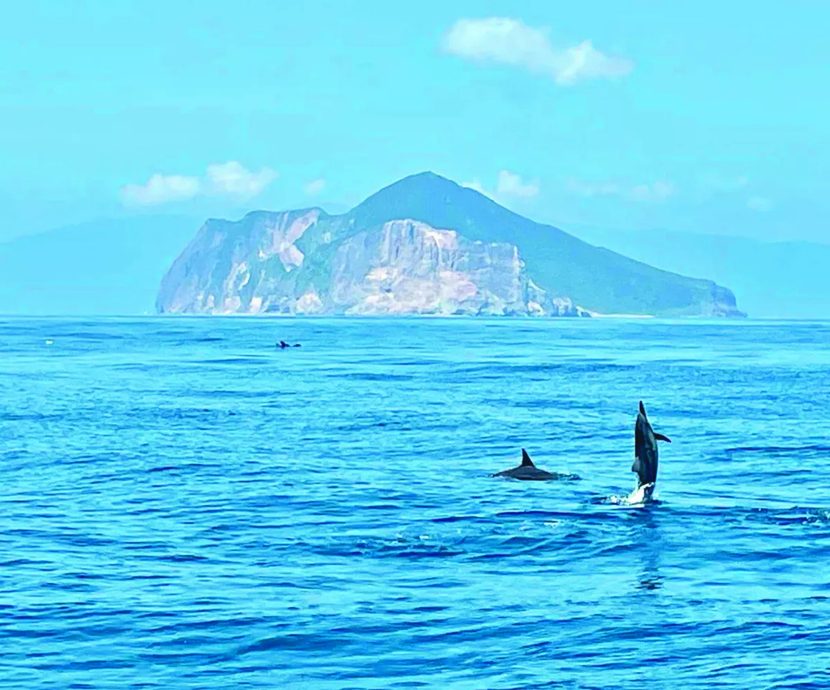 龜山島 3月開放
