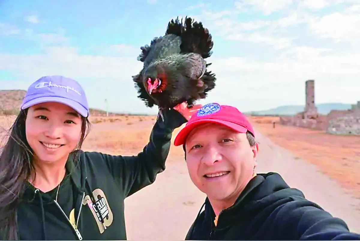 雞隨主人遊美國 趣事超多成大明星