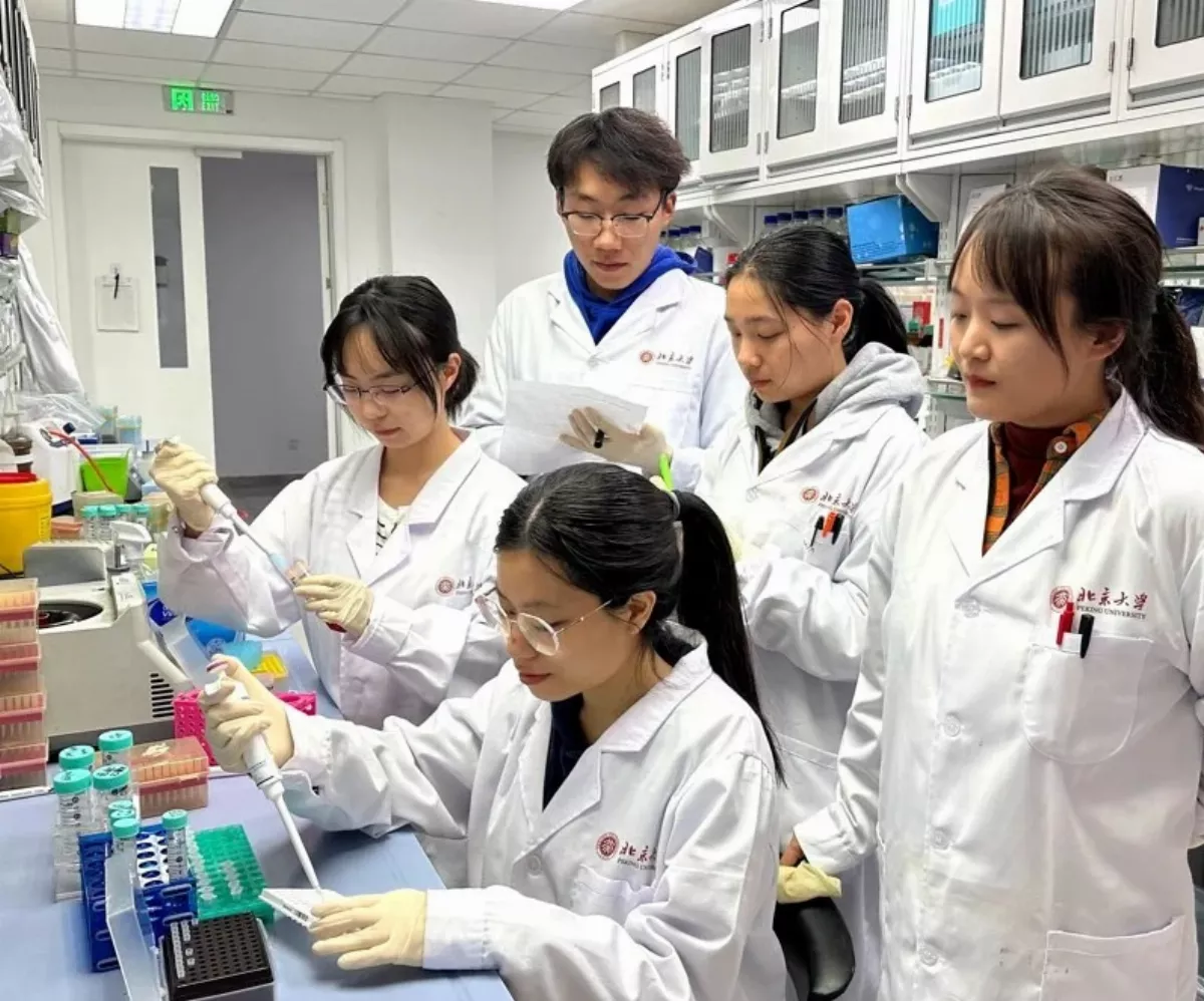 揭癌症晚期患者「極度消瘦」之謎 陸科學家指不可逆關鍵是它