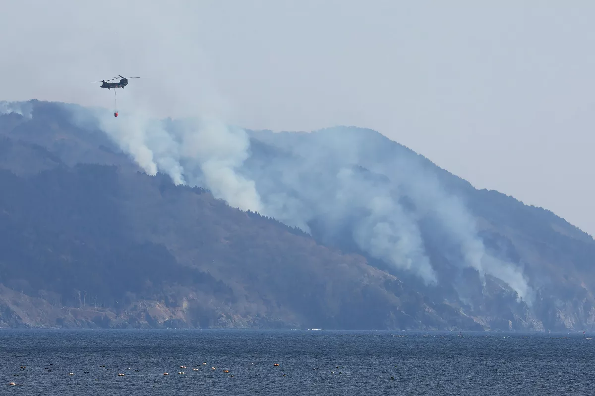 日本岩手野火延燒5天 燒毀規模恐超越1992年紀錄