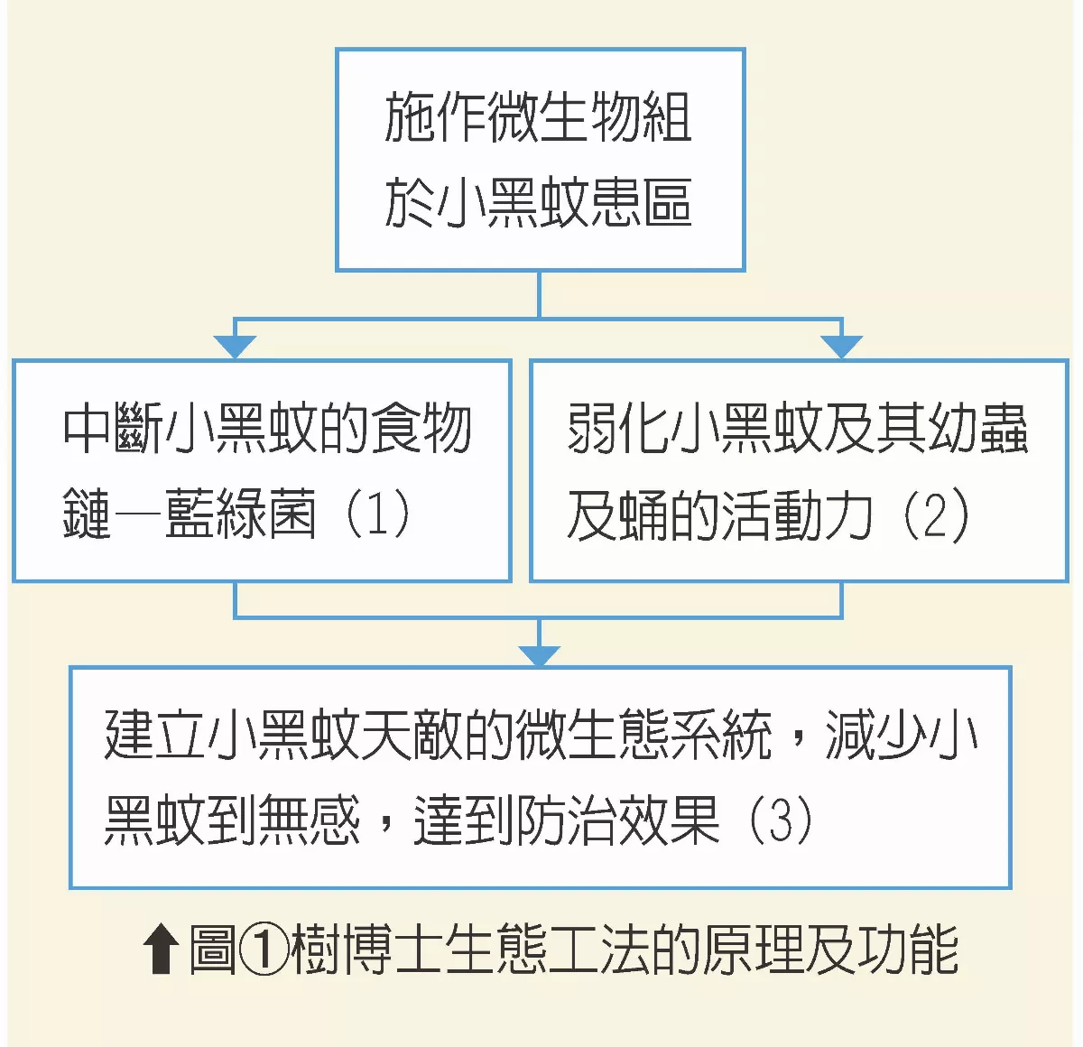 【樹博士系列—土壤的祕密IX】微生物組的防治小黑蚊原理：土健康，小黑蚊自然走光光