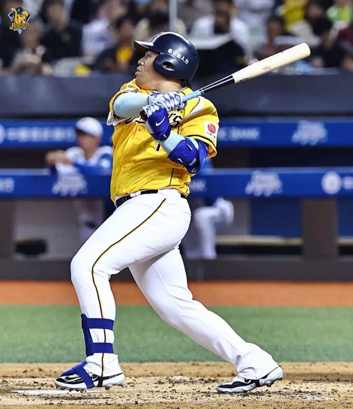 棒球／新庄、伊藤都點名他 曾頌恩害羞了