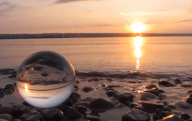 星雲說偈：毀譽不動