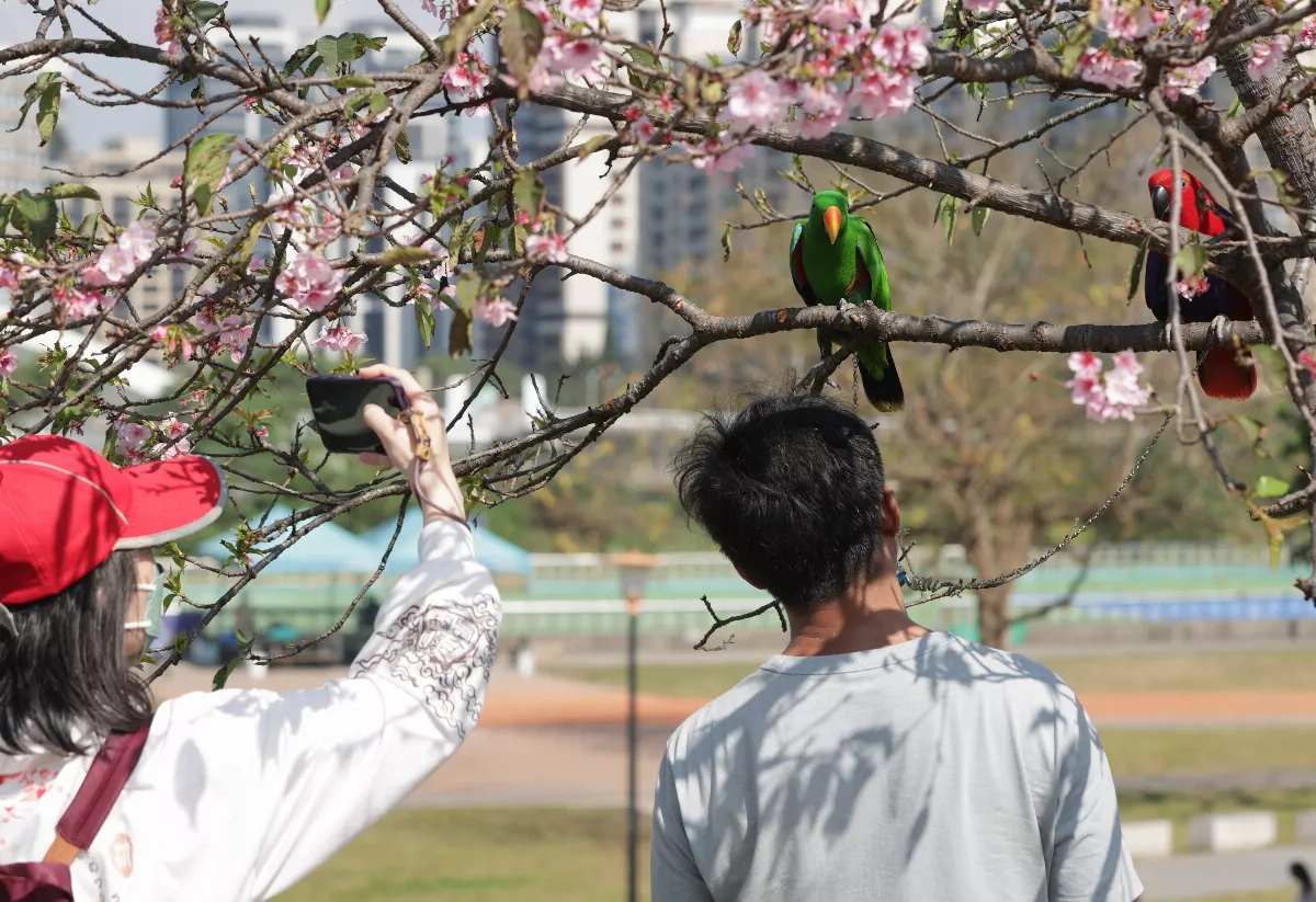 明起回暖氣溫上看30度 周四鋒面報到