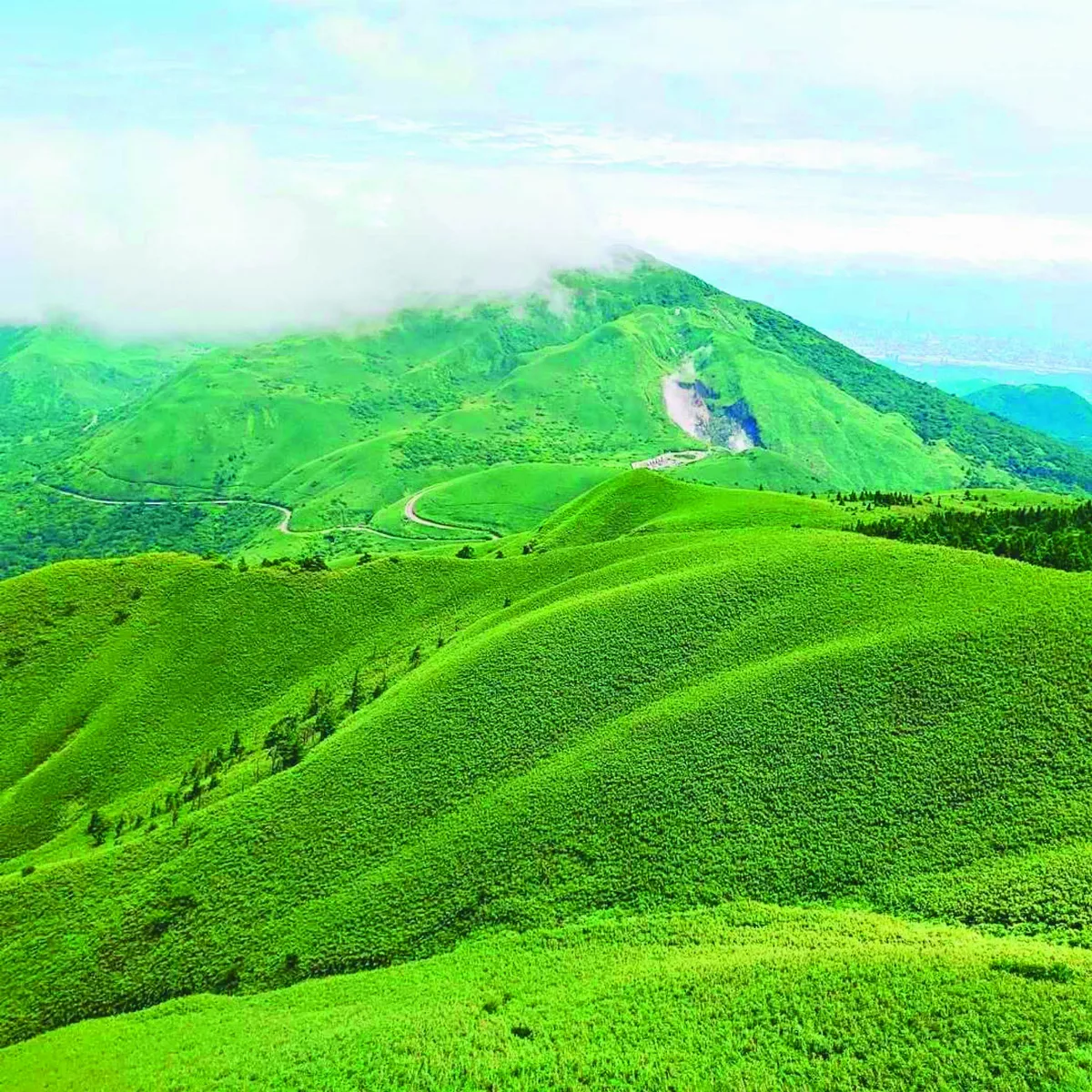抹茶系美景 春遊綠色仙境