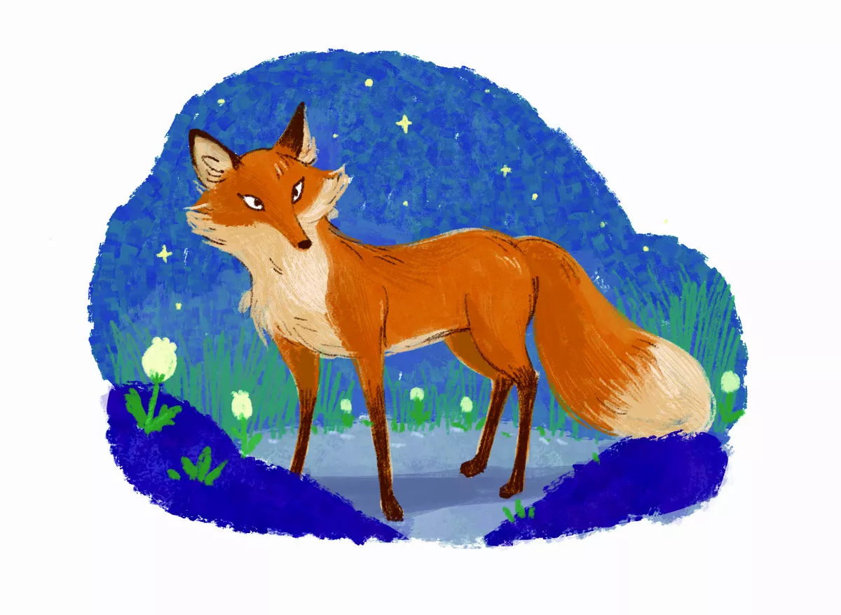 【趣味動物園】森林中的小精靈 狐狸