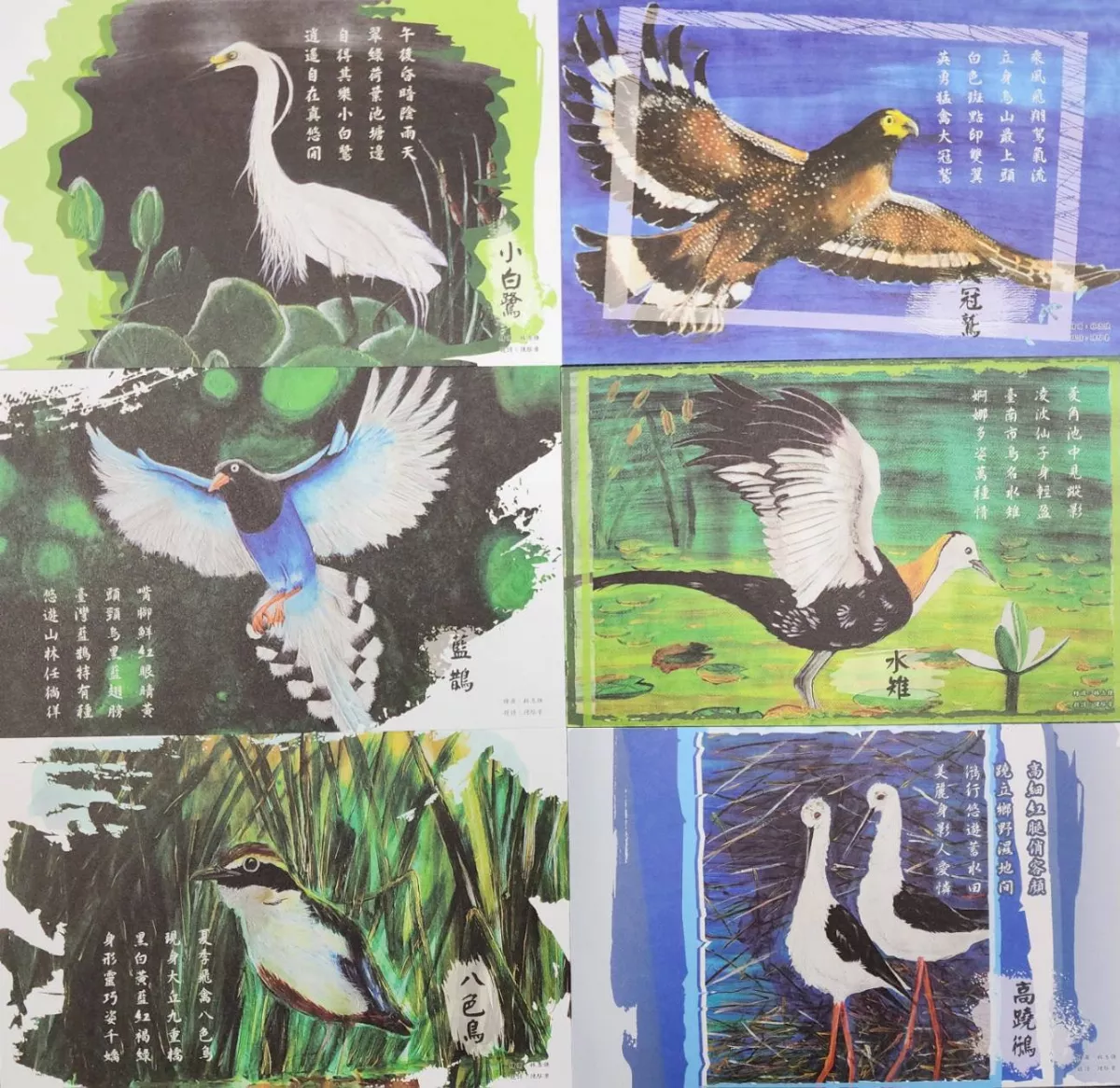 結合藝術與自然  六甲推出鳥類生態明信片   