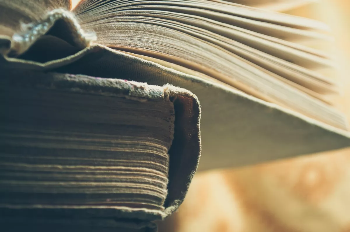 【弟子規淺說】童蒙教育經典之作