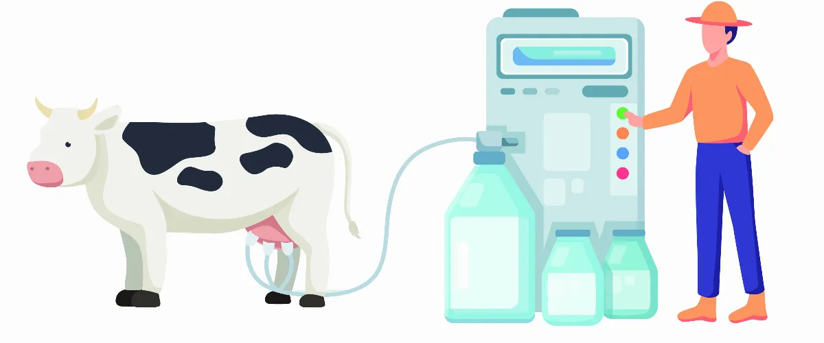 牛奶從何而來？