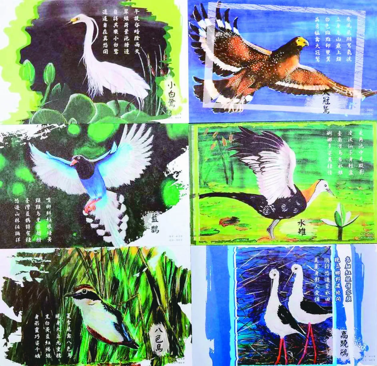 本土鳥類化身明信片
