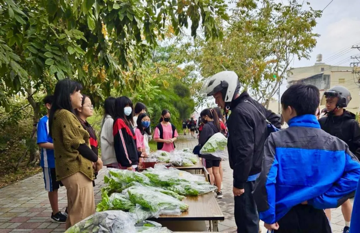 校園水耕蔬菜豐收 成廟埕社區熱賣商品