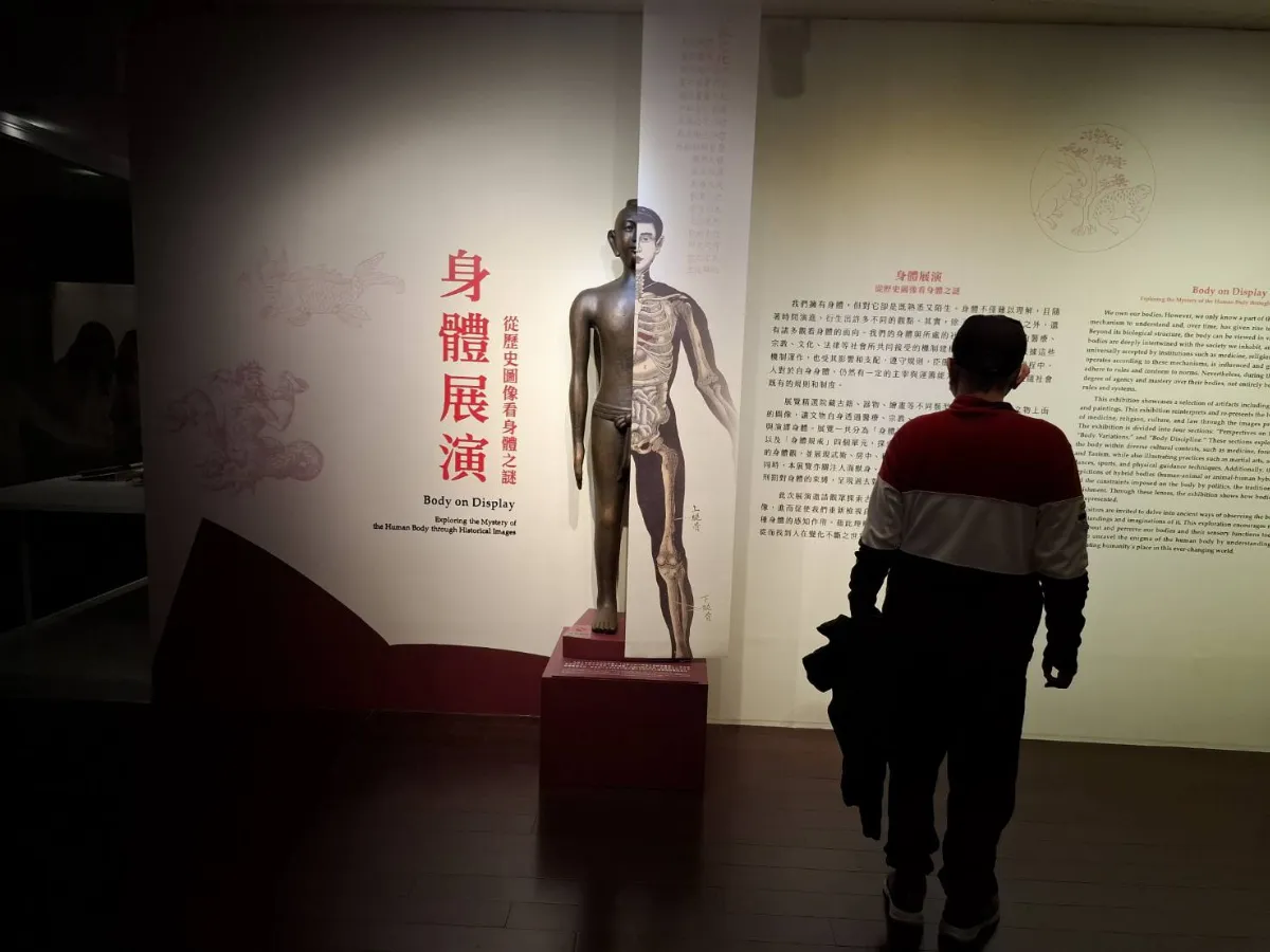 響應全民健保30周年 故宮推「身體展演」特展