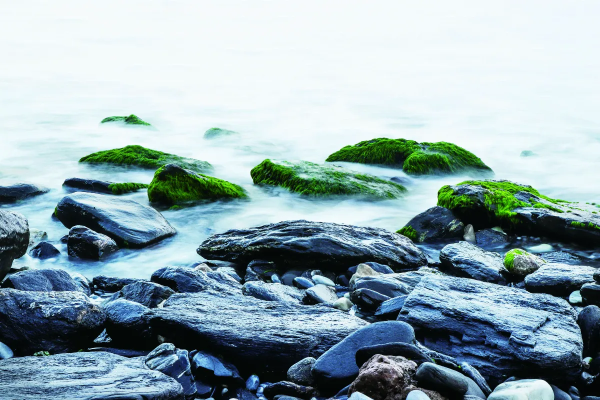 星雲大師全集⑲【佛教管理學①】天堂的管理法⑤
