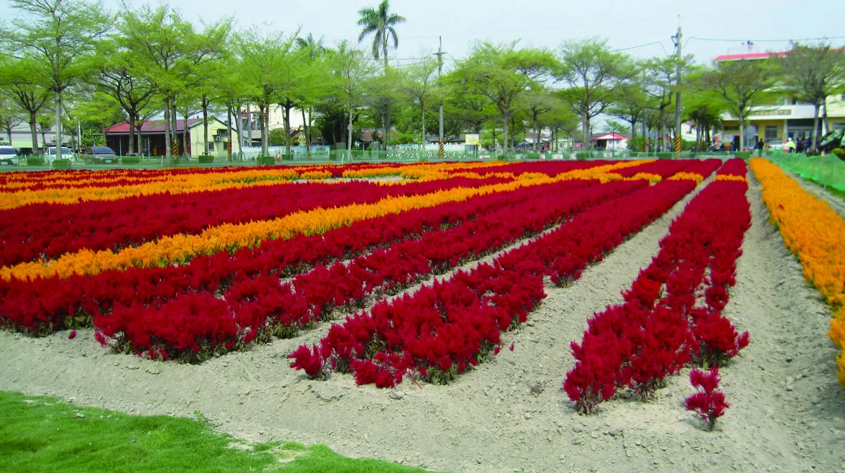 【印象旅人】色彩集大成的花圃
