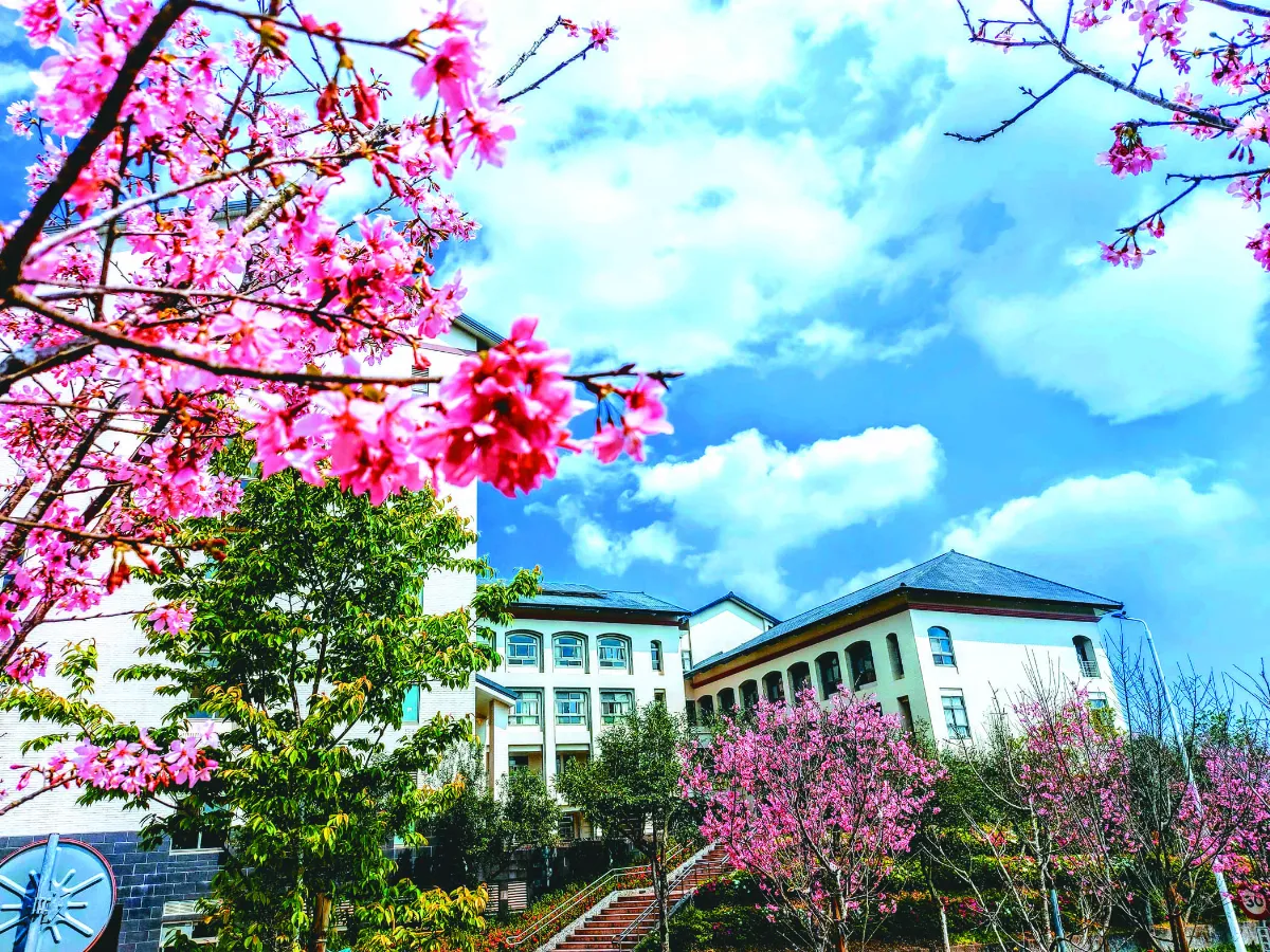 【紀實攝影】一花一樹一學校