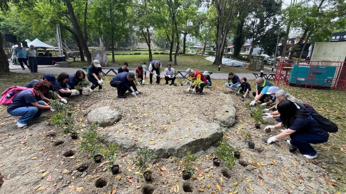 紫蝶北返 增植蝶道山香圓補給蜜源