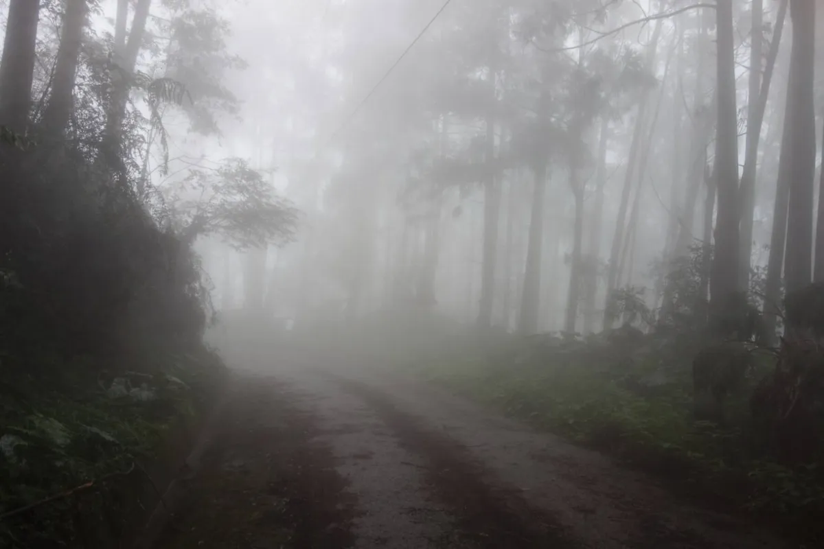 西巒大山春祭 緬懷人倫林道殉職榮民