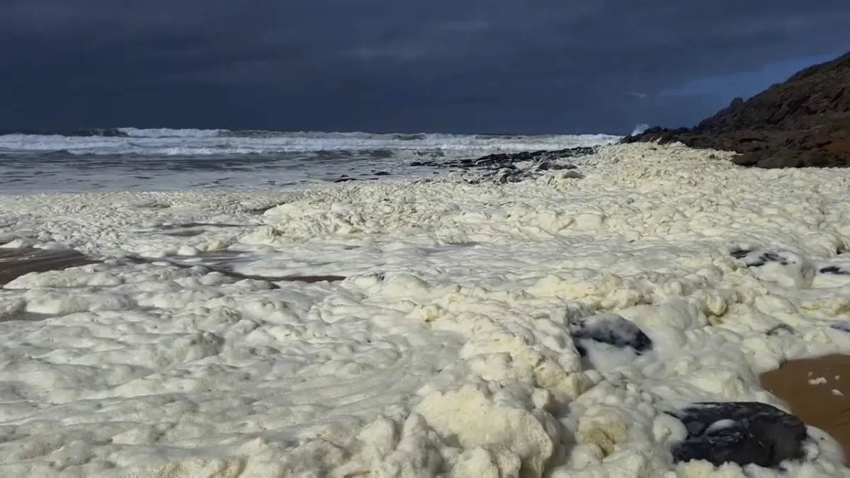澳洲南部海灘出現神秘泡沫　死魚遍布、衝浪客不適
