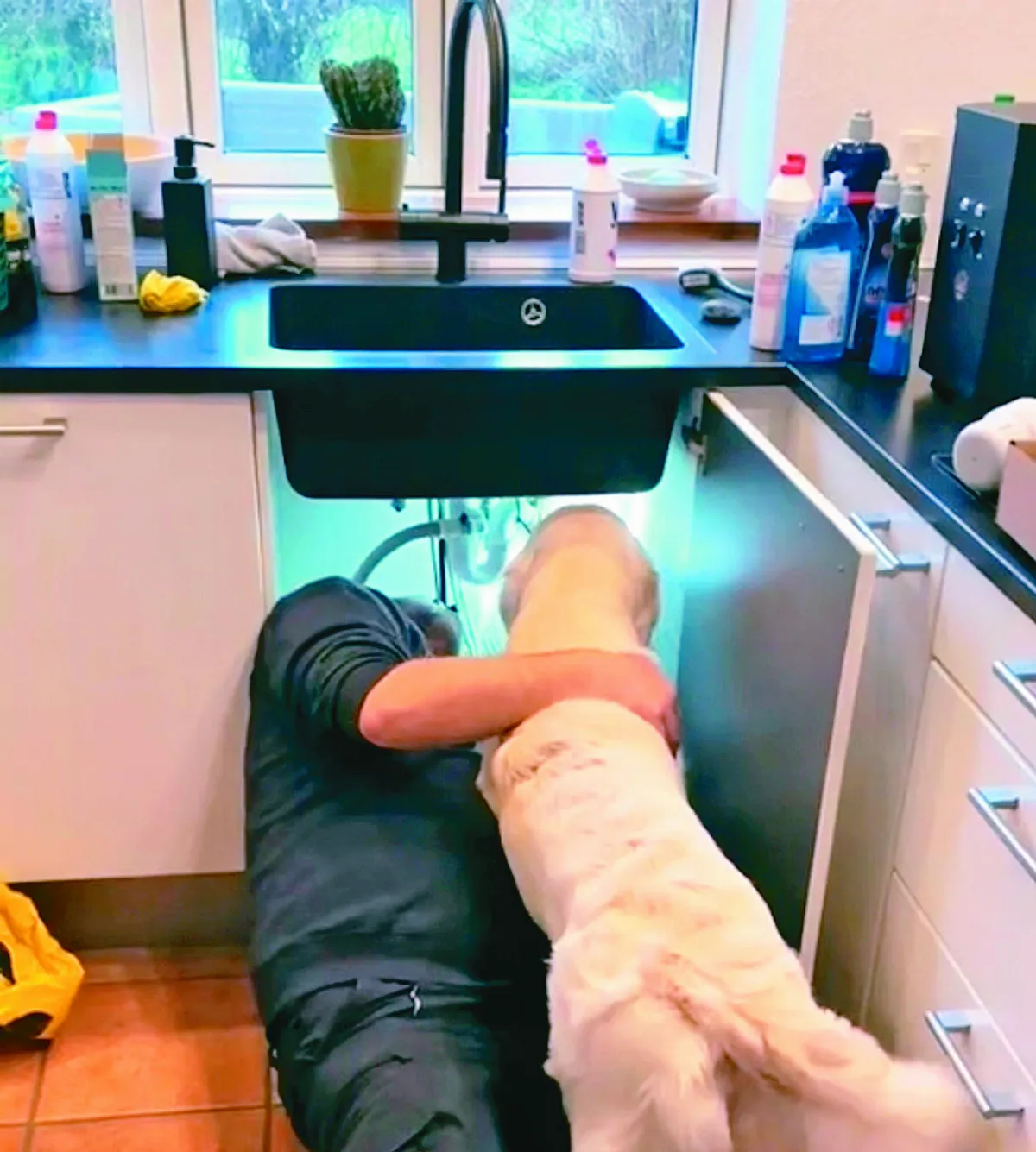 愛犬不怕生  搶當維修工助理
