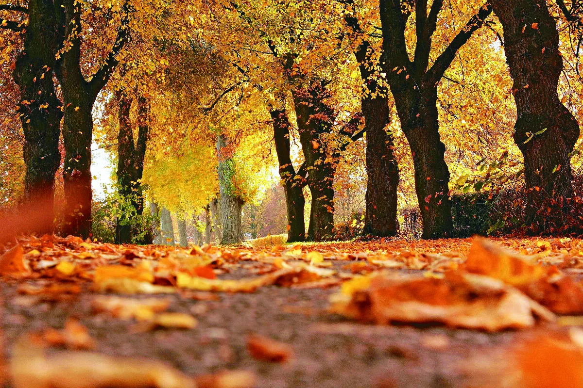 星雲大師全集【講演集】佛法與義理—佛教對知見的看法 4-2