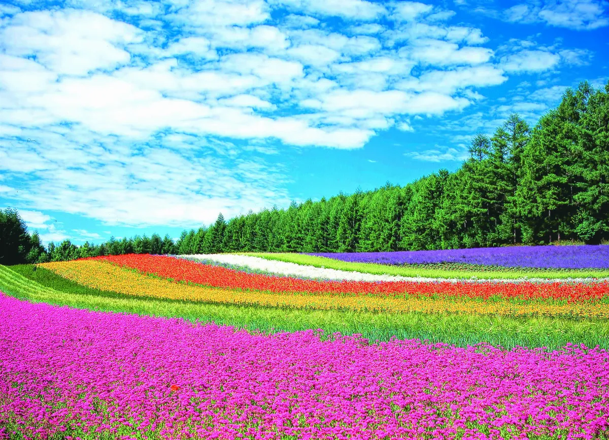 星雲大師全集【講演集】佛法與義理—佛教對知見的看法 4-3