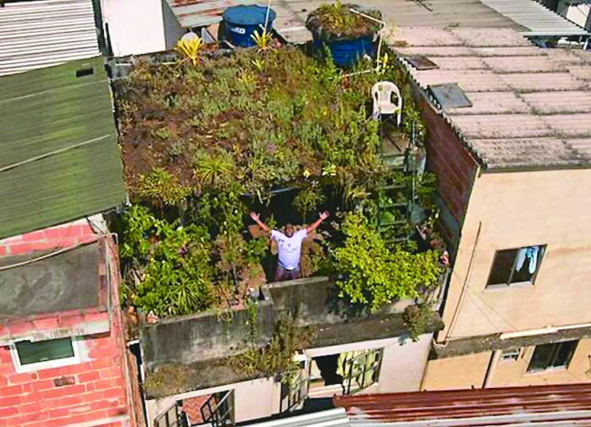屋頂花園 翻轉巴西貧民窟