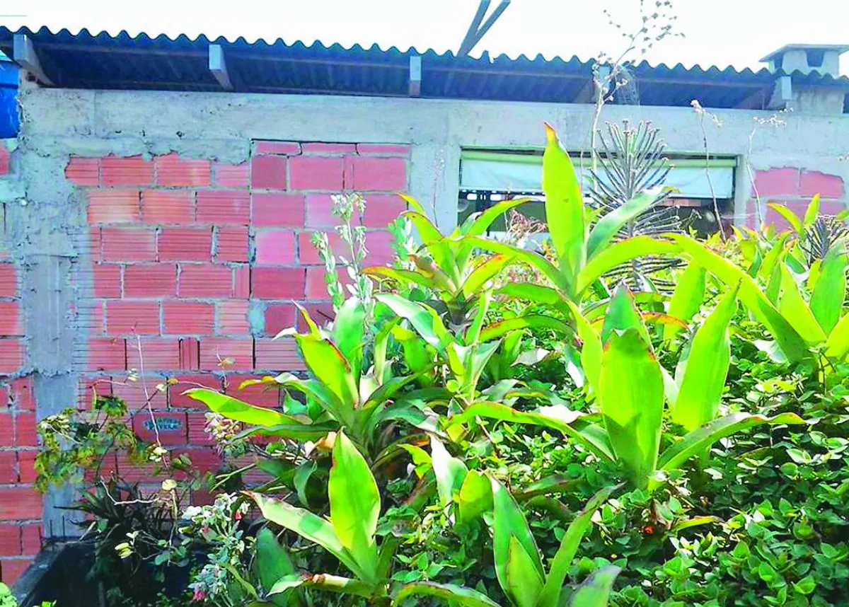 屋頂花園 翻轉巴西貧民窟