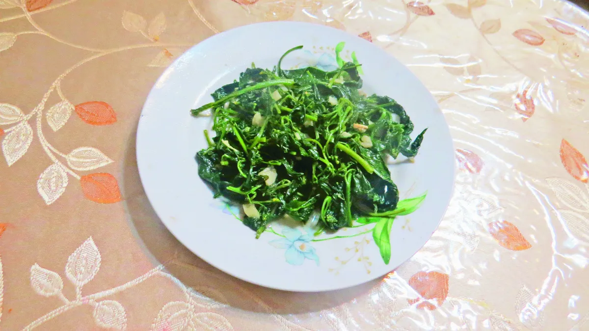 【自然的滋味】阿嬤種的野菜