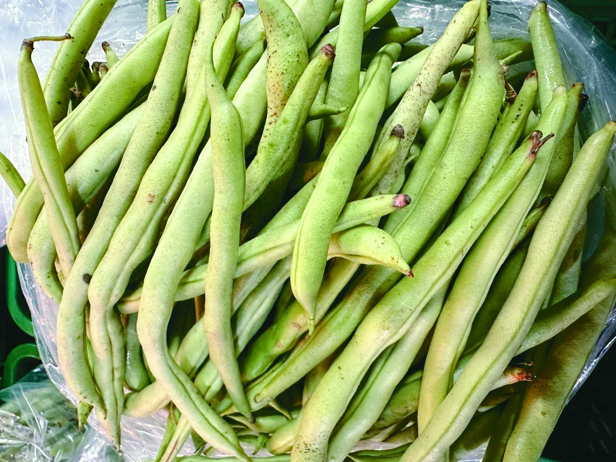【老媽家常菜】燜燒豆茄 在地小農的自然青蔬