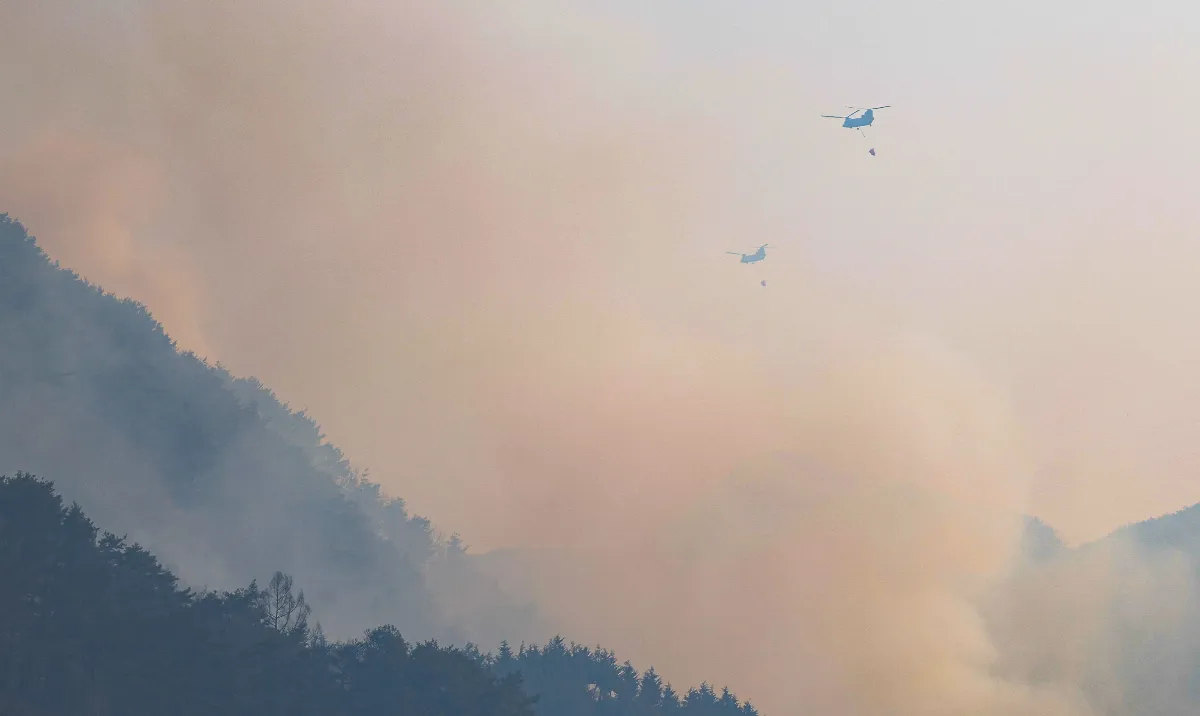 韓國野火釀4死200人撤離 東南部進入緊急狀態